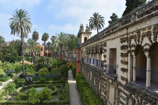 Spanish immersion programme