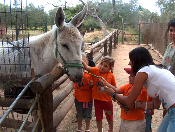 Inclusive camp for children